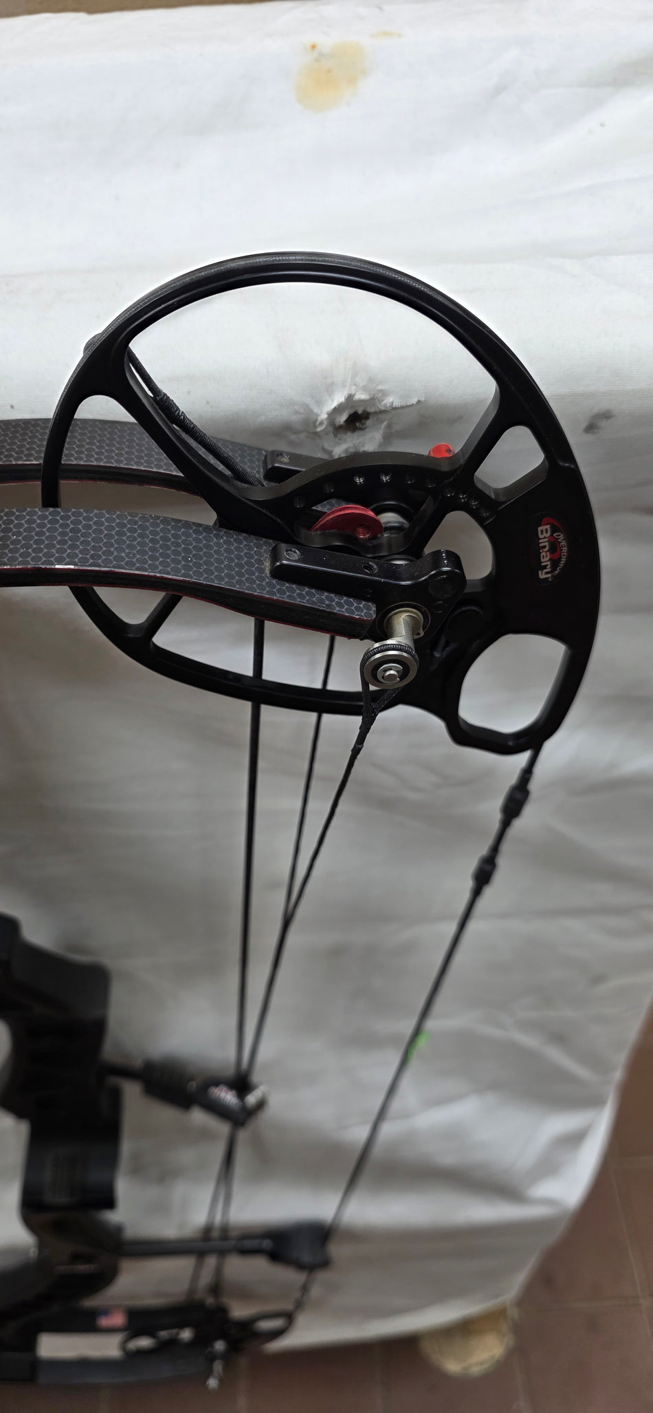 BOWTECH INSANITY CPX - RH/BLACK/60 - BTICPXLHB60 - 6 - USED BOW!!!