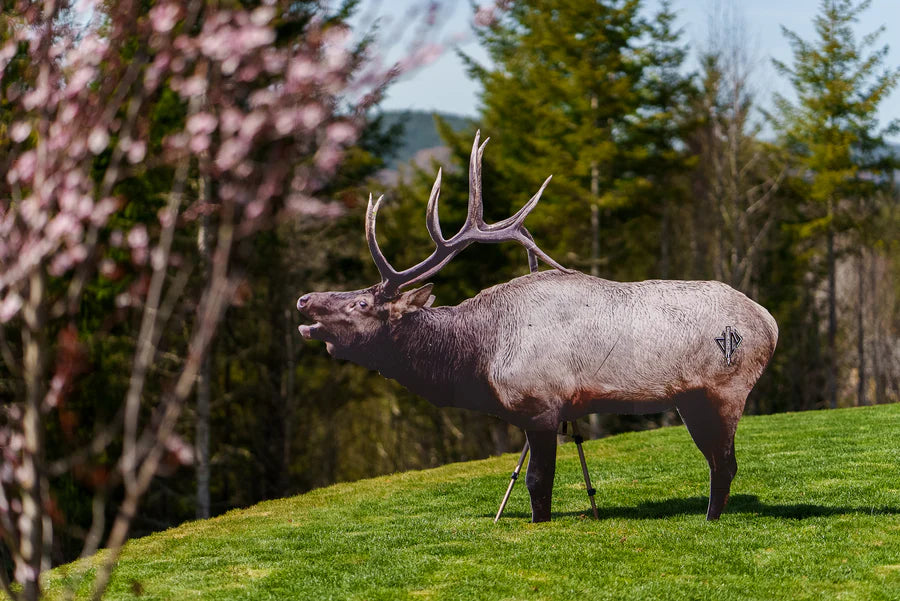 Deadnuts 2D BULL ELK BROADSIDE TARGET