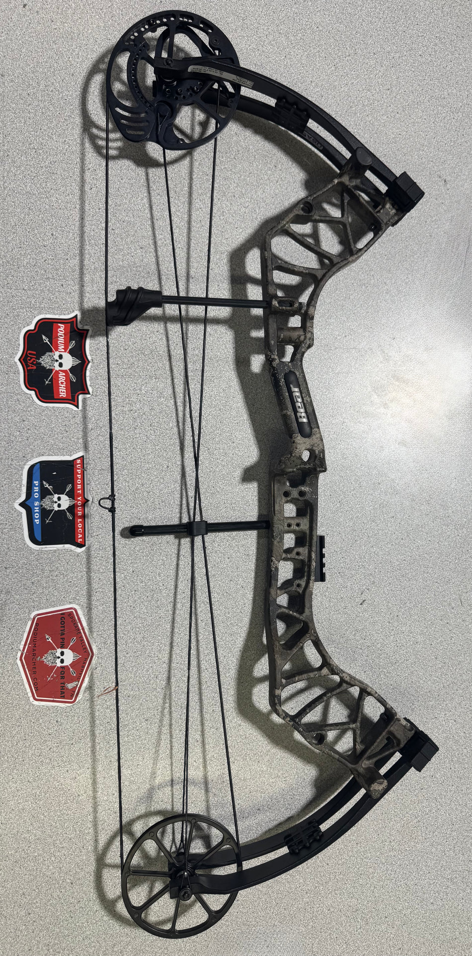 BEAR SPECIES XT - RH/STRATA/70# - 1010 - USED BOW!
