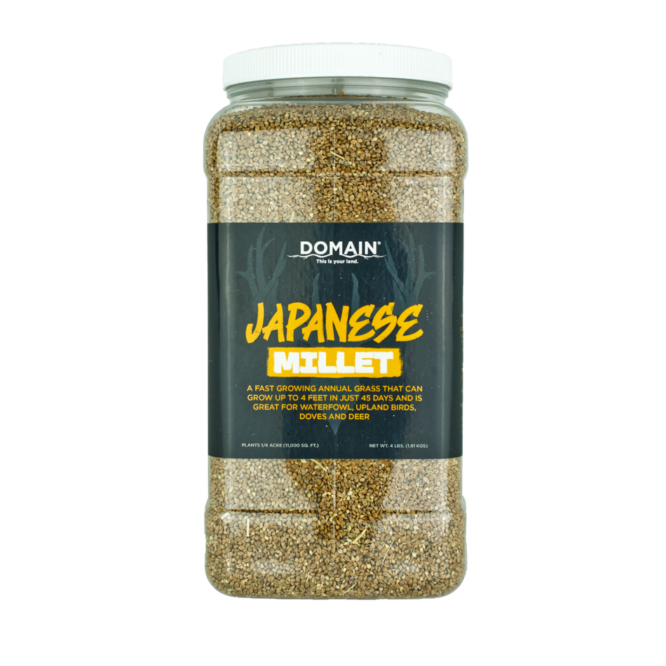 Japanese Millet Food Plot Seed