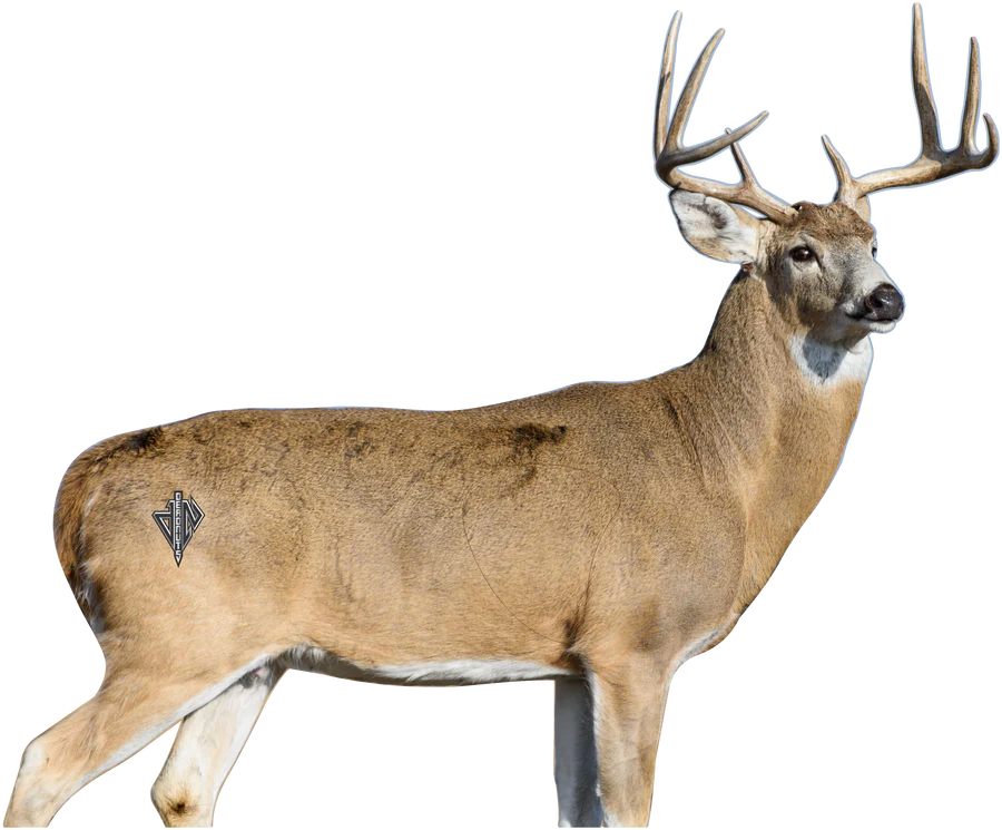 Deadnuts 2D WHITETAIL DEER BROADSIDE TARGET