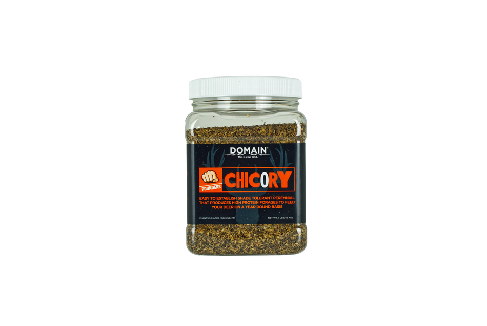 Domain Pounder – Chicory Food Plot Seed