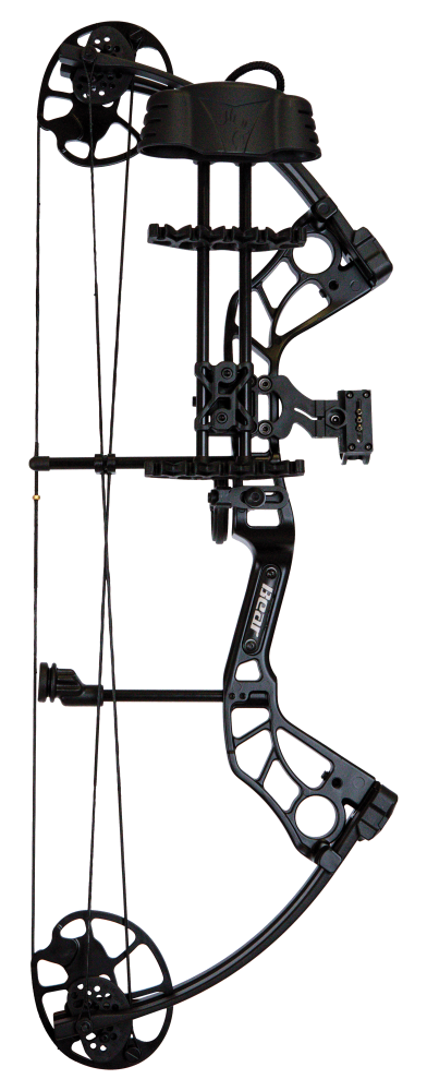 Bear Shootout RTH compound bow