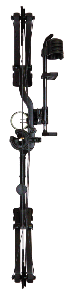 Bear Shootout RTH compound bow