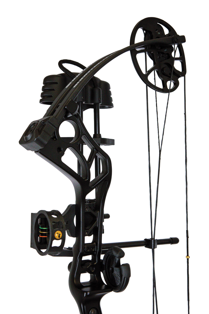 Bear Shootout RTH compound bow