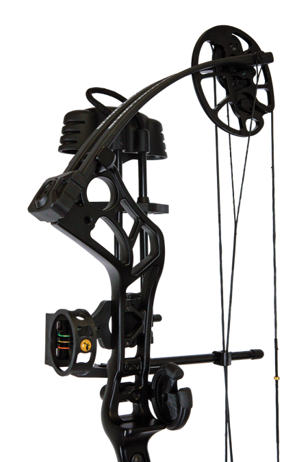 Bear Shootout RTH compound bow