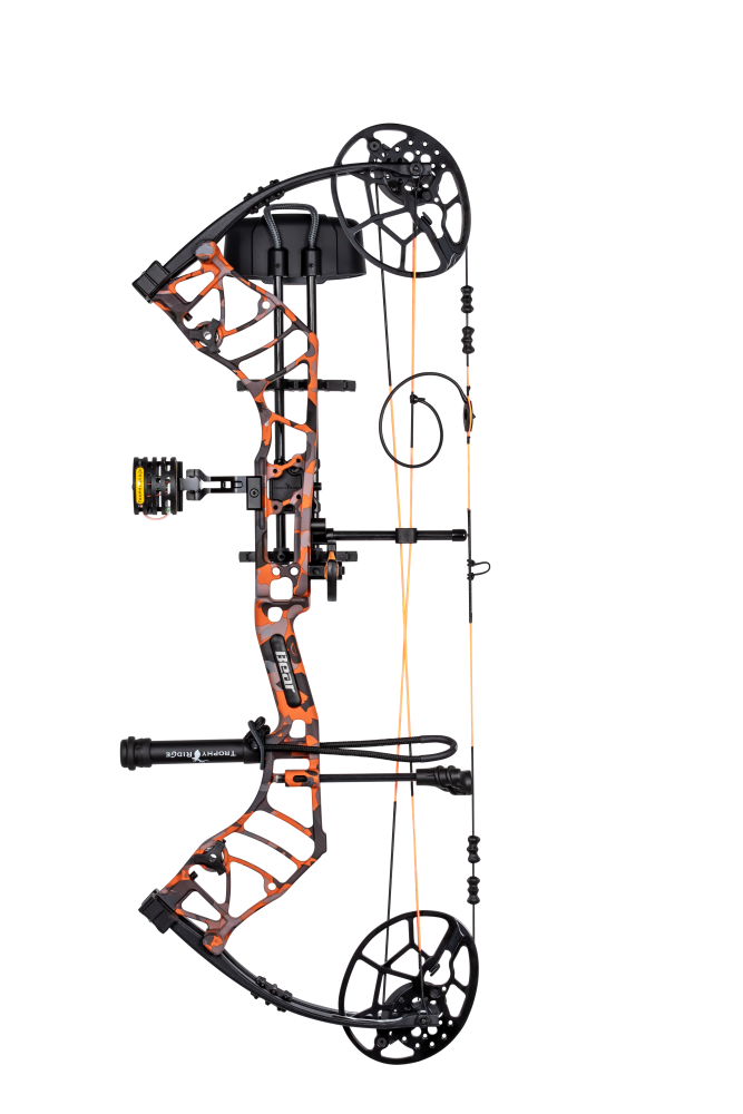 Bear Legit NXT RTH - Emerge 2.0 detail