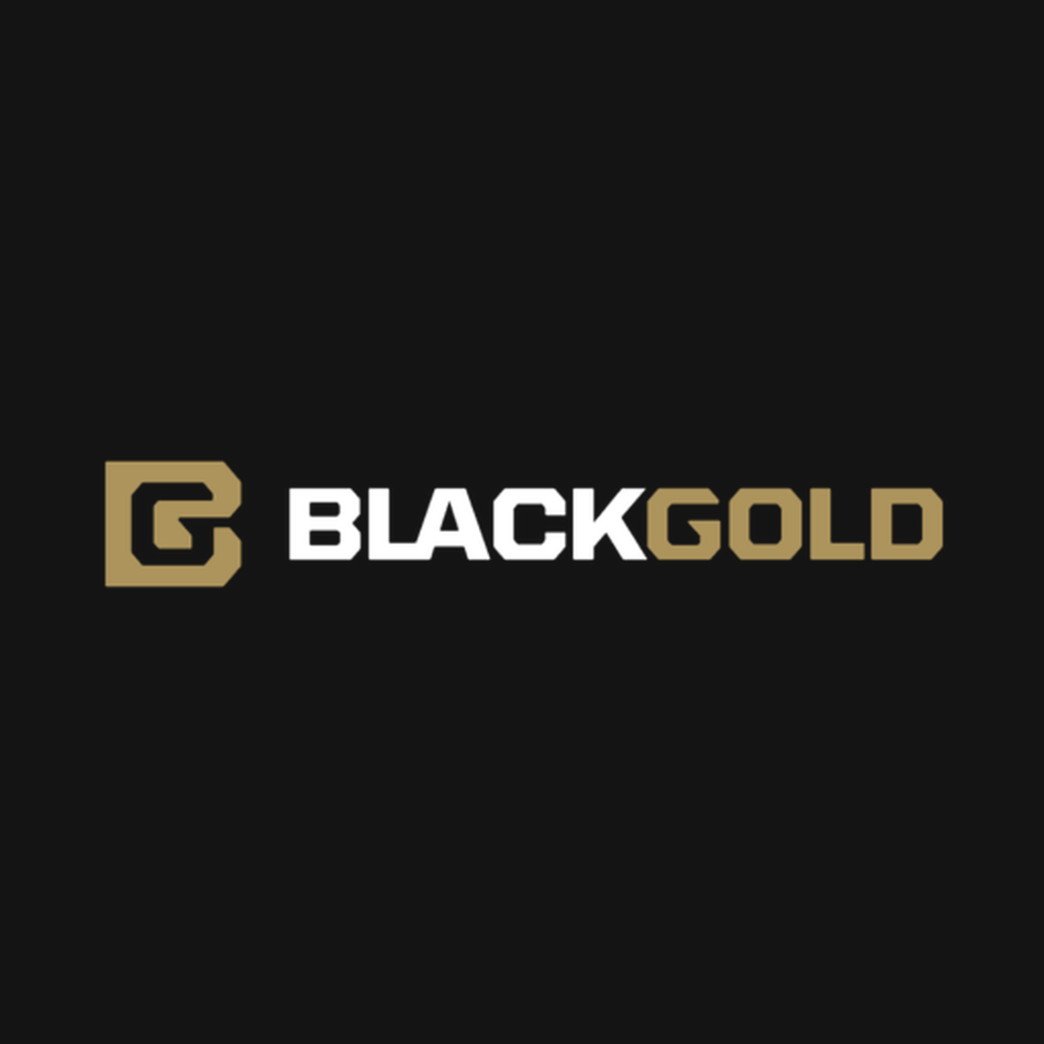 CUSTOM BLACK GOLD MODD SIGHT