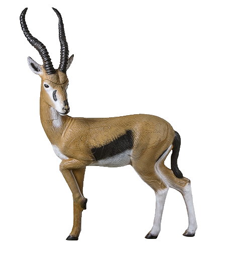 Rinehart Gazelle - Thumbnail 3