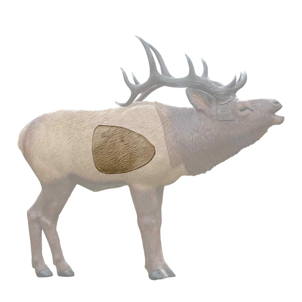 Rinehart Woodland Elk