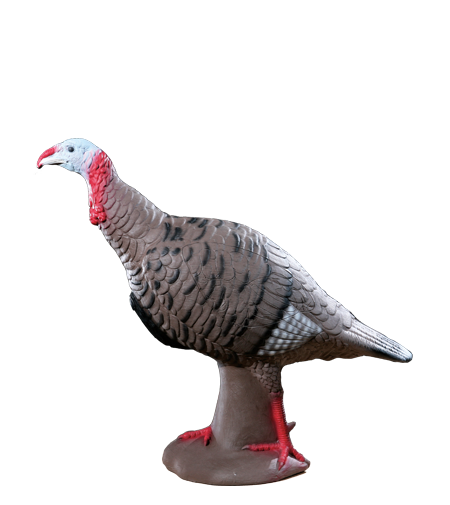 Rinehart Tom Turkey - Thumbnail 5