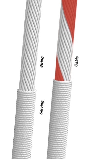 Zebra Trophy String Sets - Thumbnail 4
