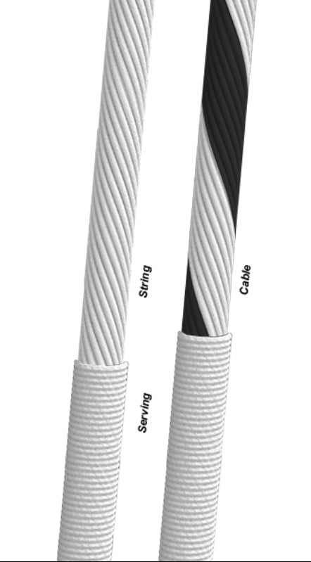 Zebra Trophy String Sets - Thumbnail 3