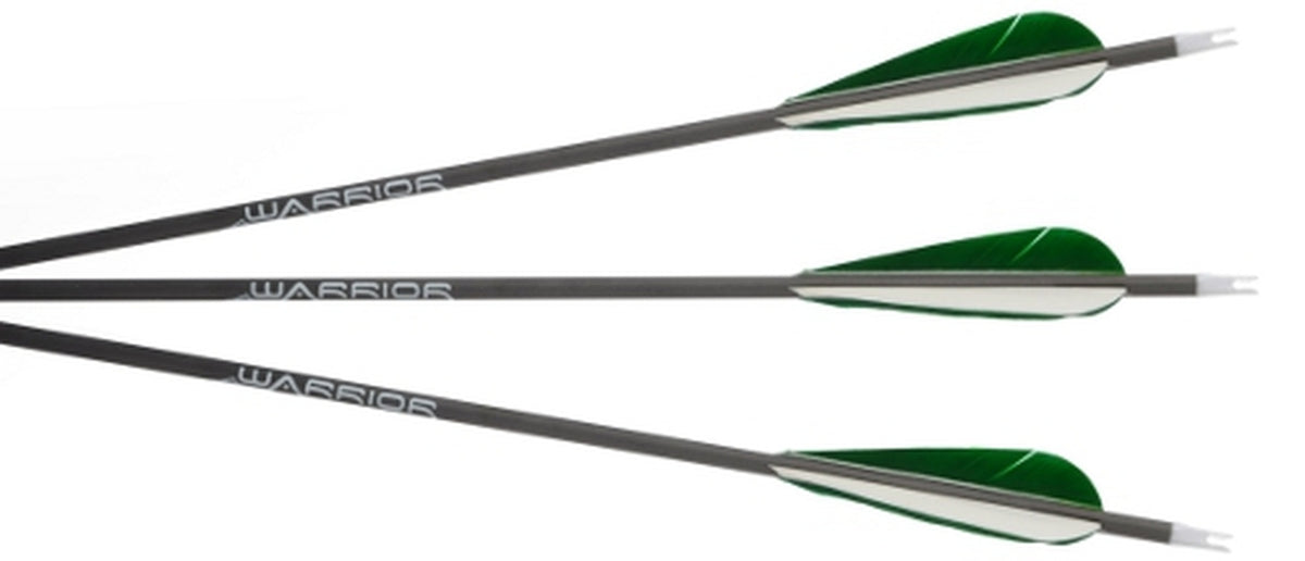 Gold Tip WARRIOR Fletched Arrows (Raptor Vanes & Feathers) – Podium Archer