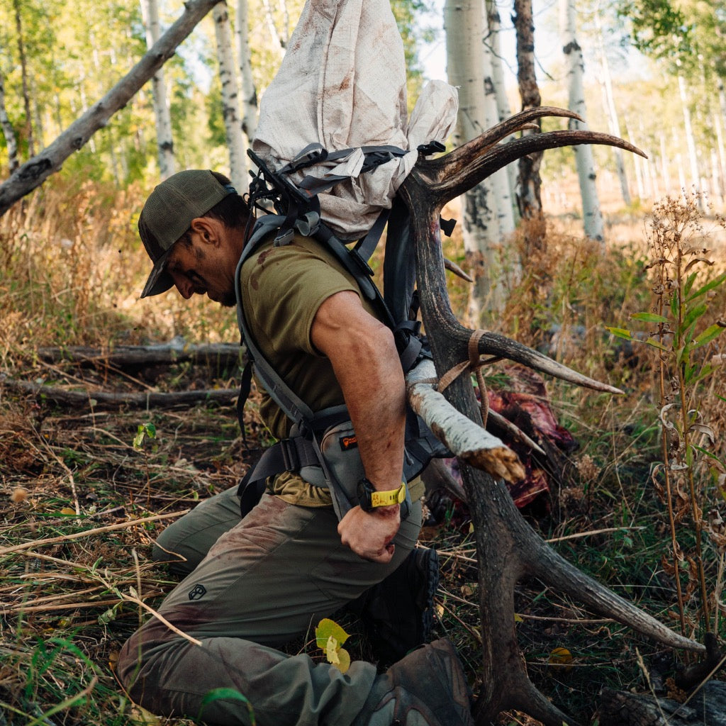 Elk Immersion camp work